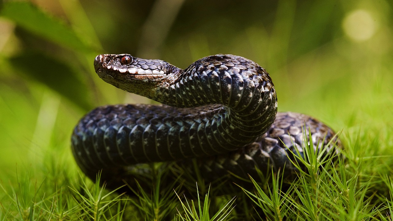 Фото Depositphotos.com