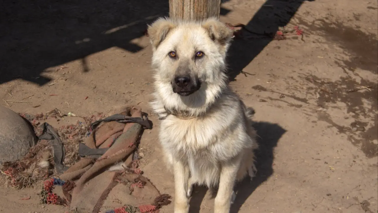 Фото Informburo.kz