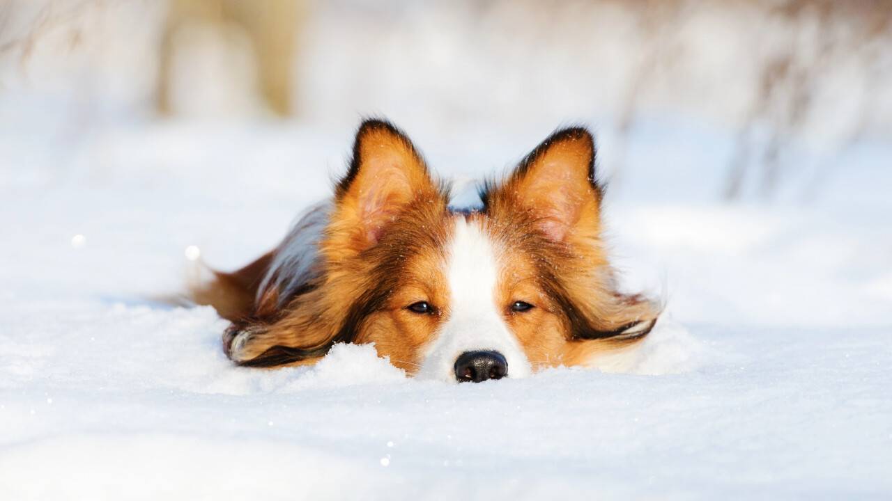 Фото Depositphotos.com