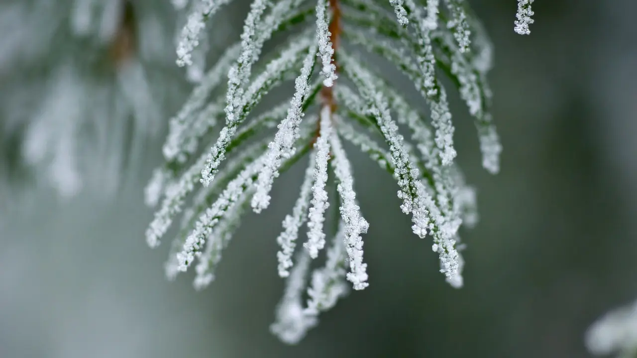 Фото Depositphotos.com