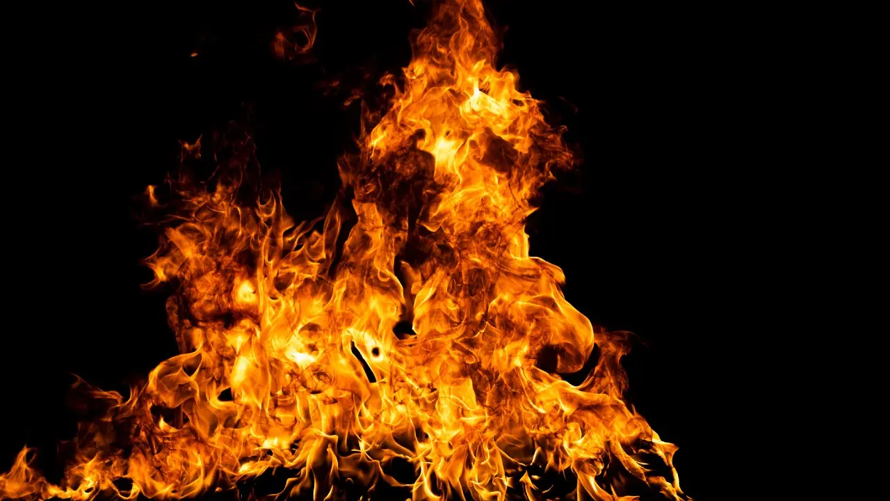 Фото Depositphotos.com