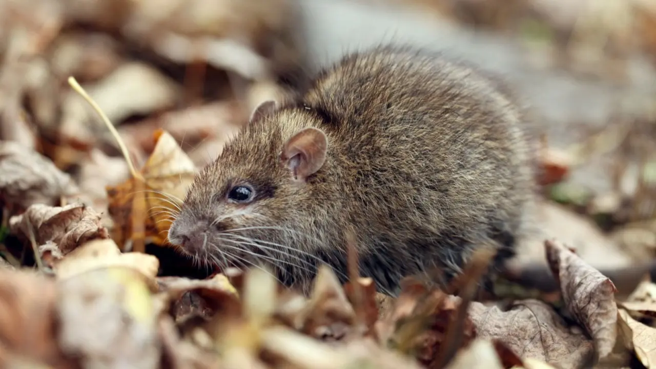 Фото Depositphotos.com