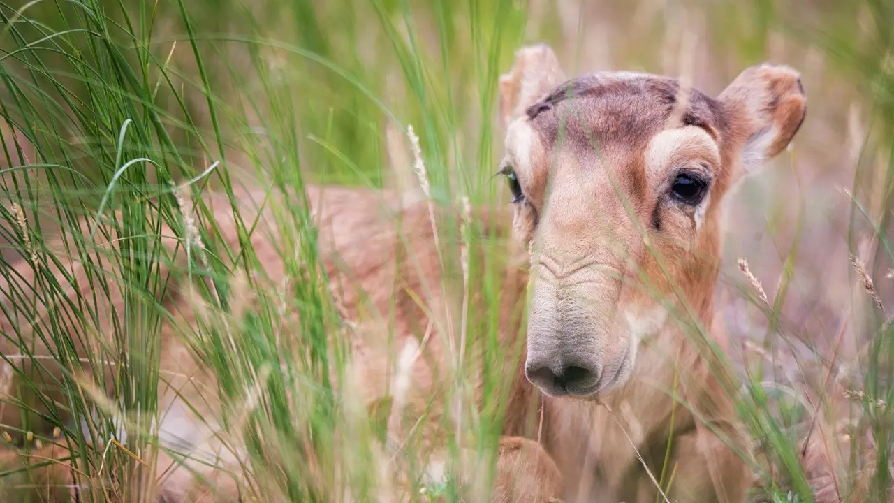 Фото Depositphotos.com