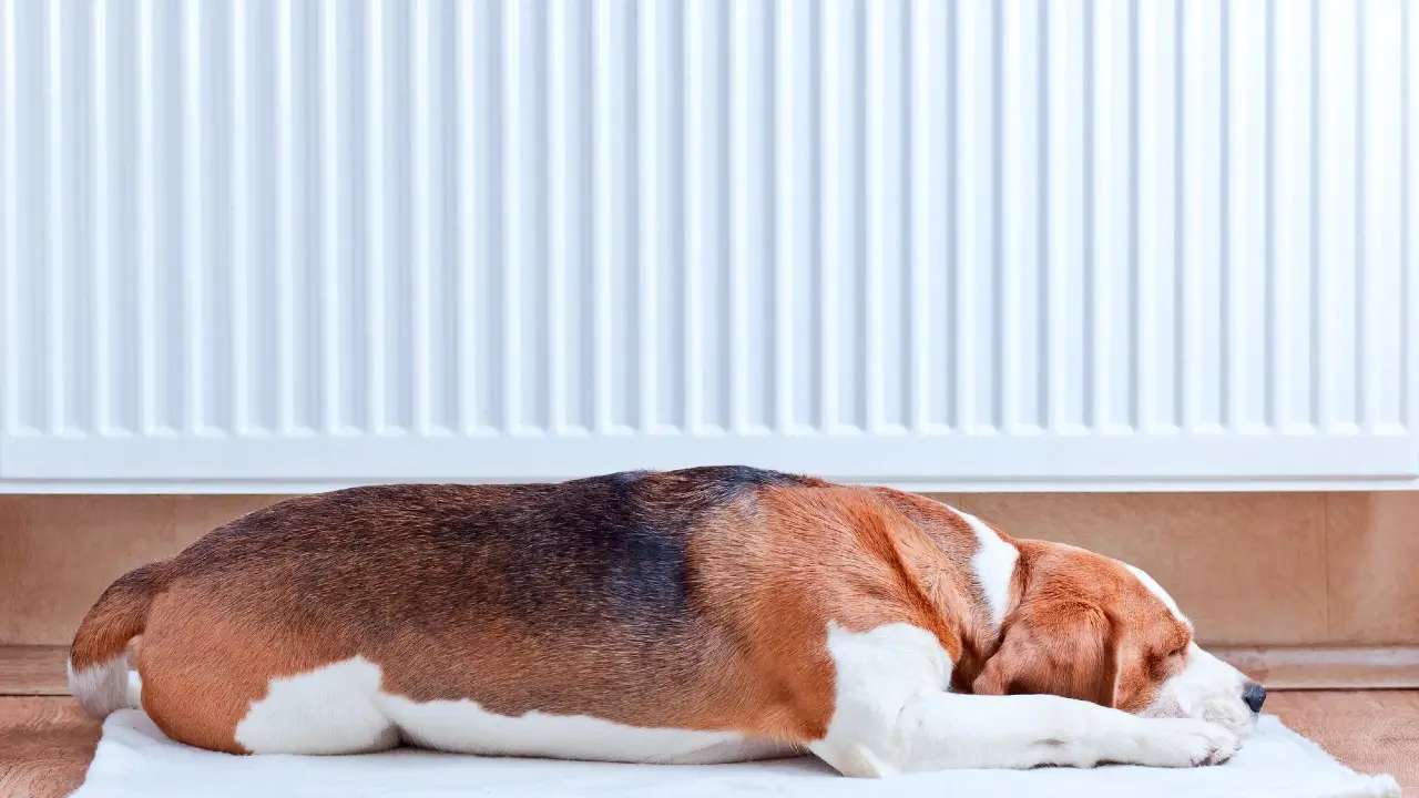 Фото Informburo.kz