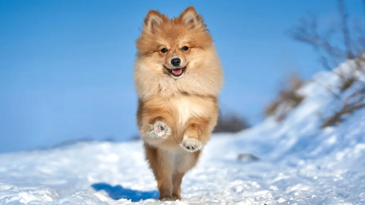 Фото Depositphotos.com