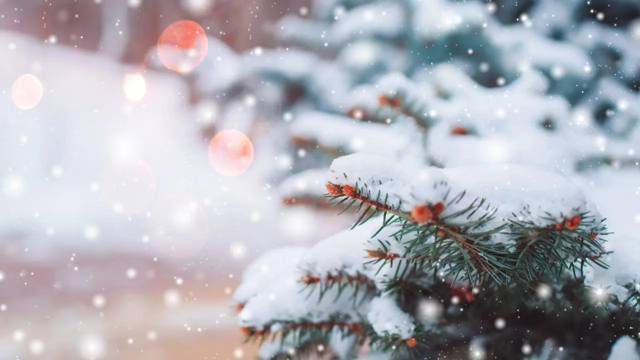 Фото Depositphotos.com