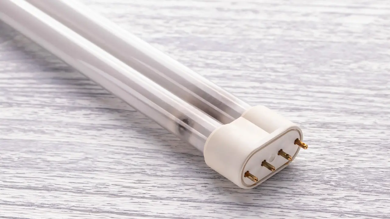 Опасные отходы хранили в подвалах школ и детсадов в Жетысуской области