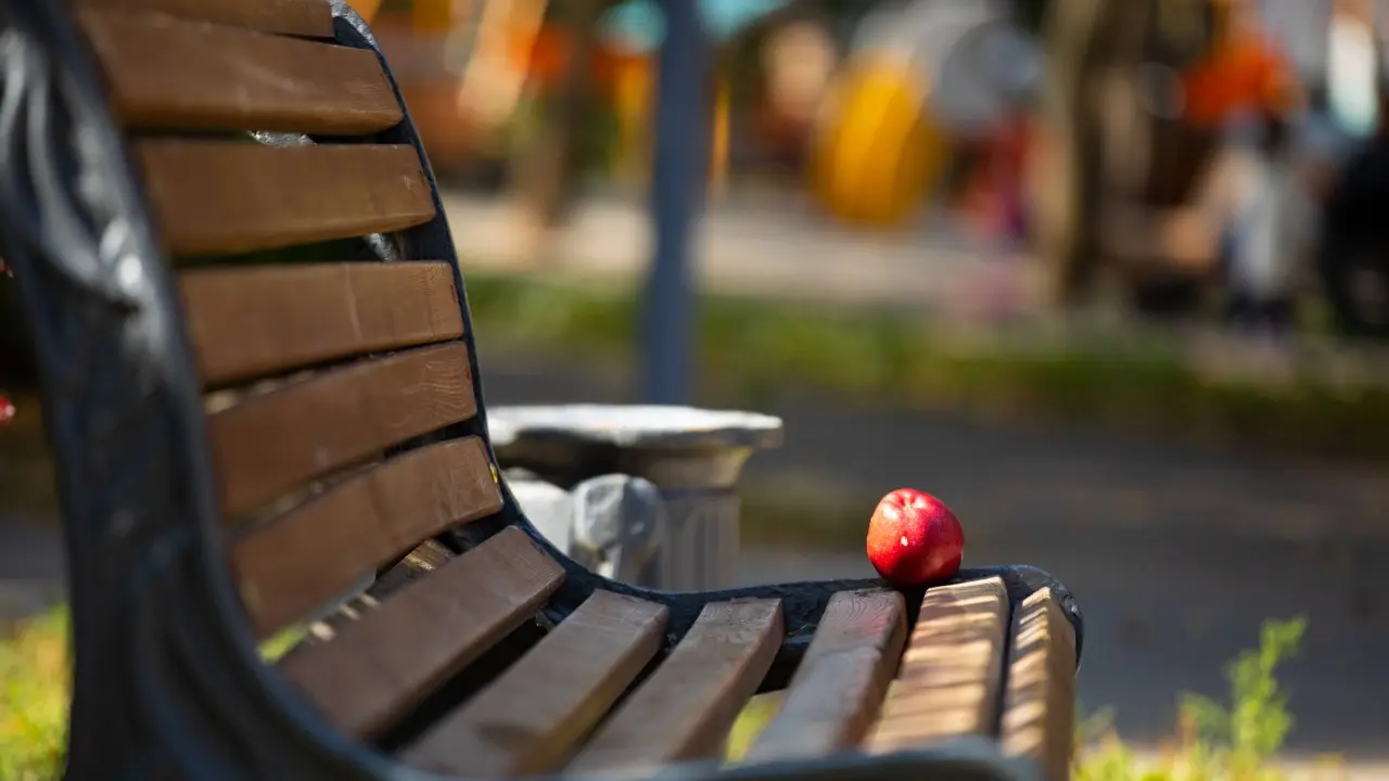 Часть улицы Пушкина в Алматы перекроют для создания пешеходной аллеи