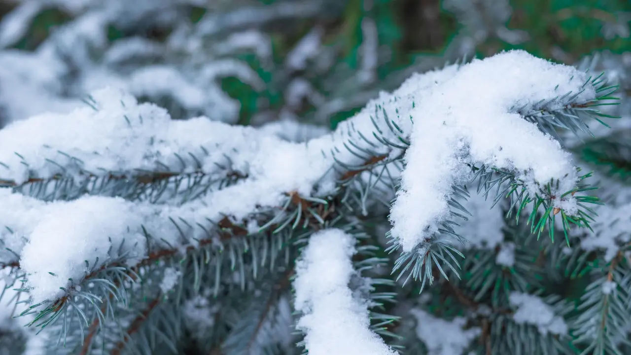 Фото Depositphotos.com