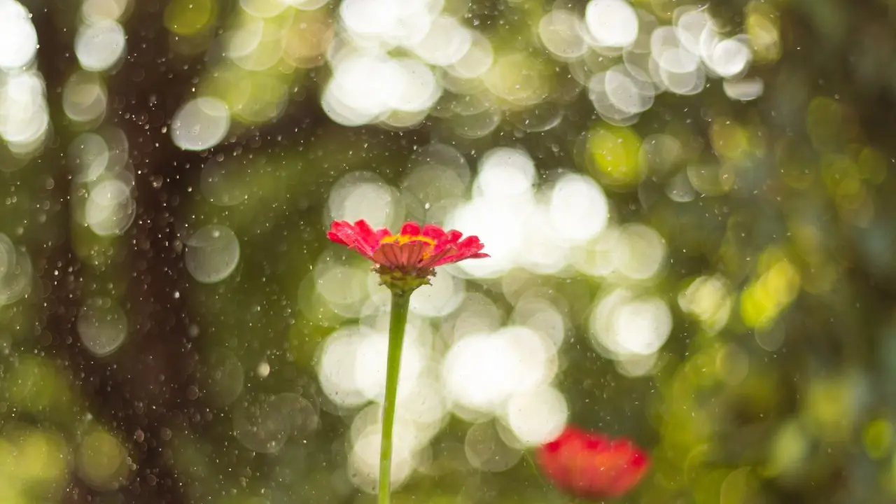 Фото Depositphotos.com