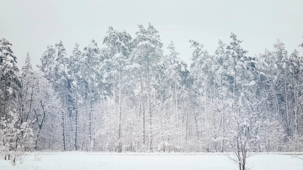 Половина месячной нормы осадков выпала за день в Усть-Каменогорске, затруднив движение транспорта