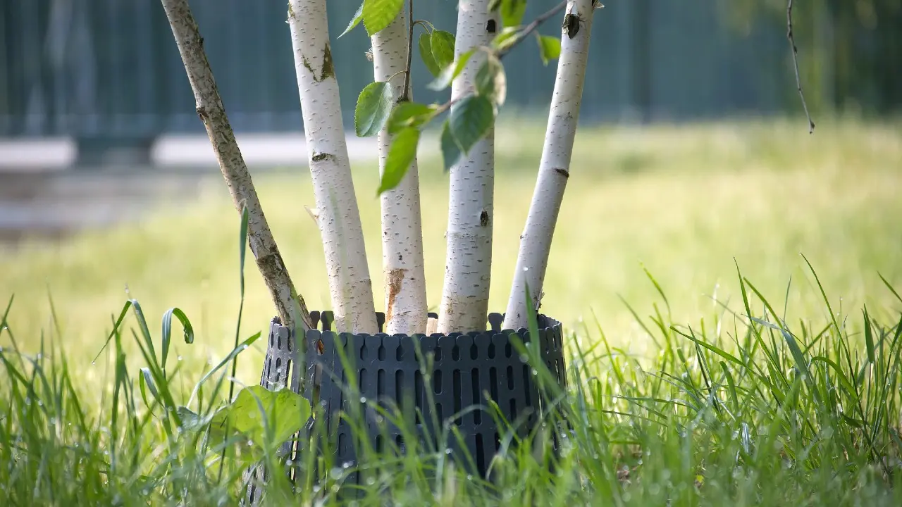 Фото Depositphotos.com