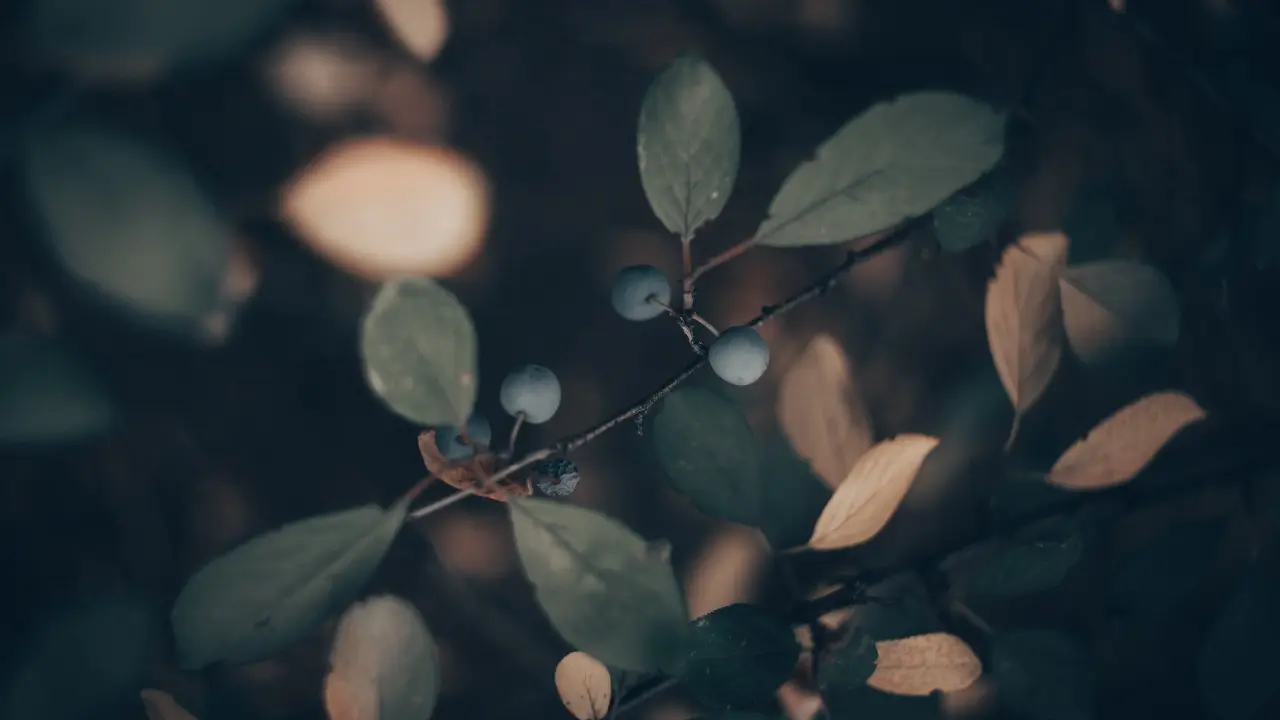 Фото Informburo.kz