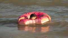Девушку с ребёнком унесло на надувном круге в Каспийское море