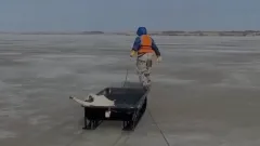 Ещё 67 туш сайгаков нашли на Кенгирском водохранилище