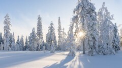 Прогноз погоды на 23 декабря: метели и туман ожидаются в нескольких регионах Казахстана