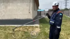 Спасатели из Конаева проехали 70 километров, чтобы унести змею с территории частного дома