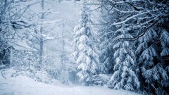 Прогноз погоды на 15 декабря: метели и гололёд ожидаются в нескольких регионах Казахстана