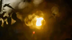 Прогноз погоды на 8 ноября: в Казахстане ожидаются осадки и усиление ветра в ряде регионов