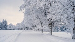 Прогноз погоды на 25 ноября: переменная облачность ожидается на большей части Казахстана