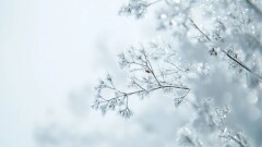 Прогноз погоды на 30 января: снег и метели ожидаются в ряде регионов Казахстана