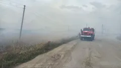 Сухостой загорелся на 40 гектарах в четырёх районах Акмолинской области