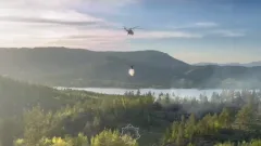 Лесной пожар в ВКО потушили с воздуха