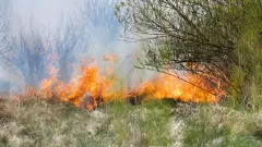 Возгорание сухой травы тушат в Костанайской области