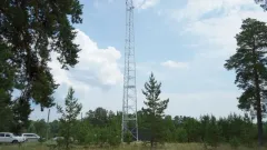 В "Семей орманы" запустили систему раннего обнаружения лесных пожаров
