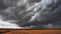 Прогноз погоды на 25 августа: дожди и грозы сохранятся на значительной части Казахстана