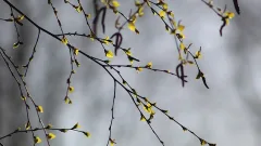 Прогноз погоды на 20 апреля: во всех регионах Казахстана ожидается потепление