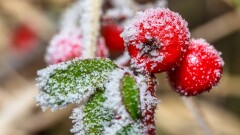 Прогноз погоды на 14 октября: гололёд ожидается в ряде регионов Казахстана