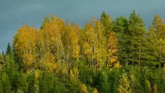 Прогноз погоды на 2 сентября: заморозки, дожди и жара ожидаются в Казахстане