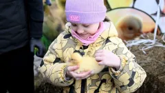 Международный фестиваль "Auyl Fest. Гусеводство" прошёл в Петропавловске