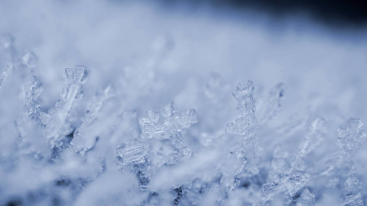 Изображение beauty_of_nature с сайта Pixabay