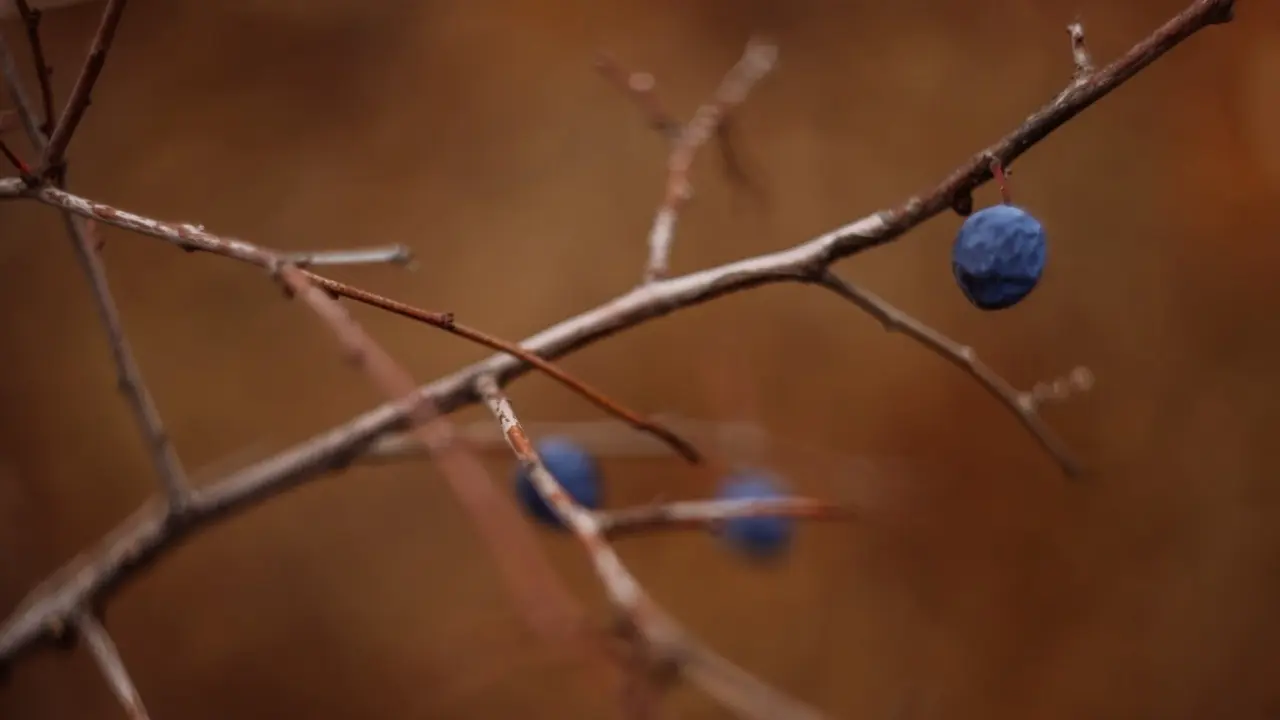 Фото Informburo.kz