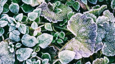 Заморозки и высокая пожарная опасность прогнозируются в нескольких областях Казахстана 16 сентября