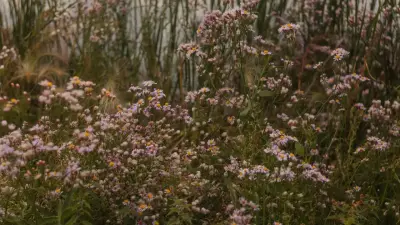 Прогноз погоды на 22 сентября: в Казахстане ожидаются дожди, грозы и сильный ветер