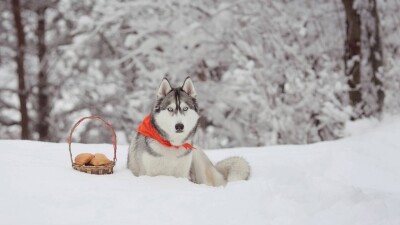 Прогноз погоды на 18 ноября: на большей территории Казахстана сохранится переменная облачность