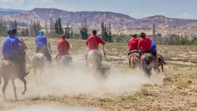 Программу V Всемирных игр кочевников сократили ради экономии бюджета