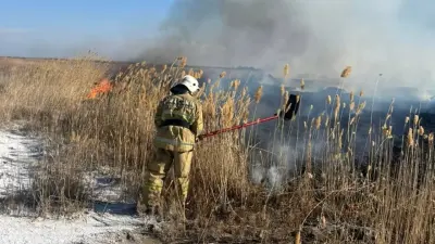 Камыш загорелся вблизи аквапарка в Конаеве