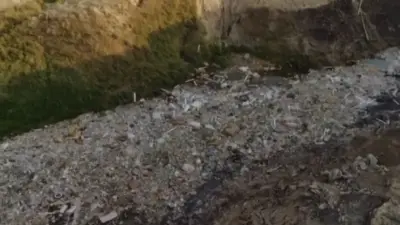 Акима и местного жителя наказали за загрязнение реки в Алматинской области