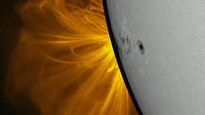 На Солнце образовалась третья по величине активная область за год