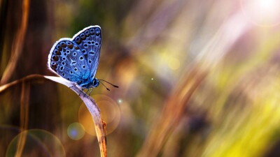 Прогноз погоды на 4 августа: переменная облачность сохранится на большей части Казахстана