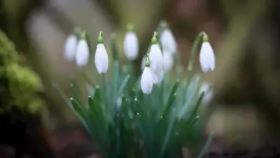 Прогноз погоды на 5 апреля: дожди и грозы ожидаются в ряде регионов Казахстана