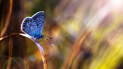 Прогноз погоды на 29 июня: сильная жара сохранится в нескольких городах Казахстана