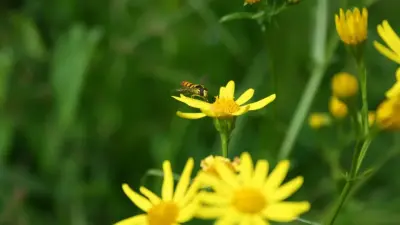 Прогноз погоды на 9 июня: в большинстве регионов Казахстана ожидается тёплая погода без осадков