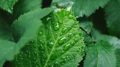 Прогноз погоды на 7 июля: дожди и грозы ожидаются на большей части Казахстана