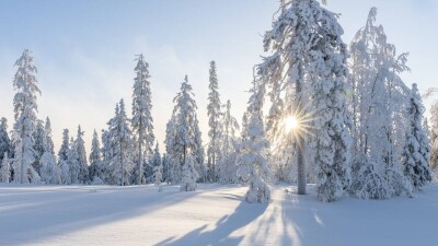Прогноз погоды на 23 декабря: метели и туман ожидаются в нескольких регионах Казахстана
