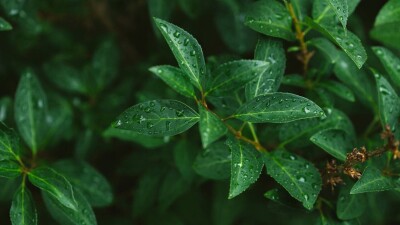 Прогноз погоды на 2 июня: в Алматы, Кокшетау, Усть-Каменогорске и Семее пройдут грозы